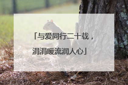 与爱同行二十载，涓涓暖流润人心