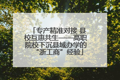 专产精准对接 县校互惠共生——高职院校下沉县域办学的“浙工商”经验