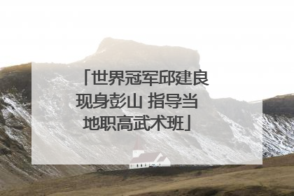 世界冠军邱建良现身彭山 指导当地职高武术班