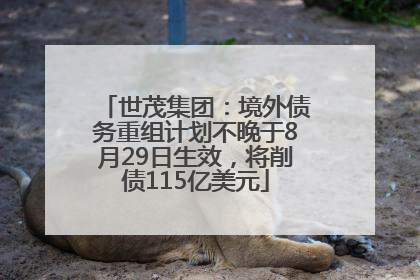 世茂集团：境外债务重组计划不晚于8月29日生效，将削债115亿美元