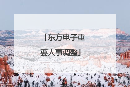 东方电子重要人事调整
