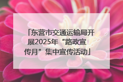 东营市交通运输局开展2025年“路政宣传月”集中宣传活动