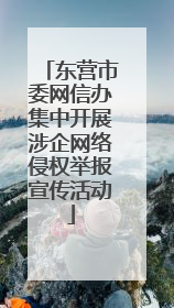 东营市委网信办集中开展涉企网络侵权举报宣传活动