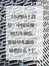 东西问丨高星：中国发现30万年前东亚最早木器意味着什么？