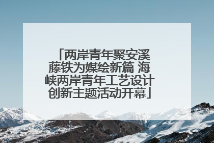 两岸青年聚安溪 藤铁为媒绘新篇 海峡两岸青年工艺设计创新主题活动开幕