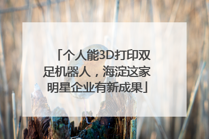 个人能3D打印双足机器人，海淀这家明星企业有新成果