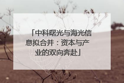 中科曙光与海光信息拟合并：资本与产业的双向奔赴