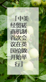 中美经贸磋商机制首次会议在英国伦敦开始举行