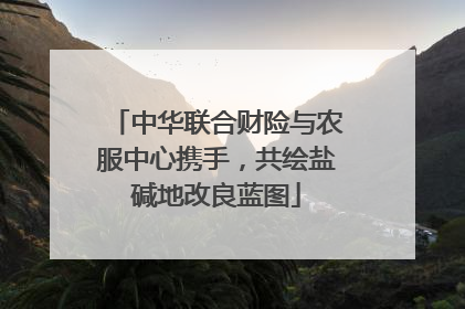 中华联合财险与农服中心携手，共绘盐碱地改良蓝图