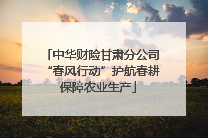 中华财险甘肃分公司“春风行动”护航春耕 保障农业生产