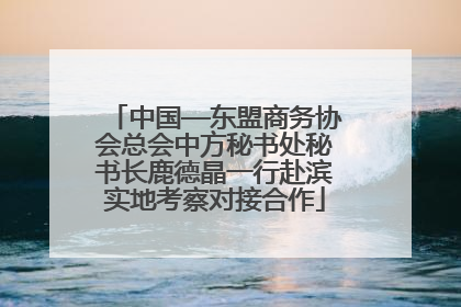 中国—东盟商务协会总会中方秘书处秘书长鹿德晶一行赴滨实地考察对接合作