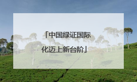 中国绿证国际化迈上新台阶