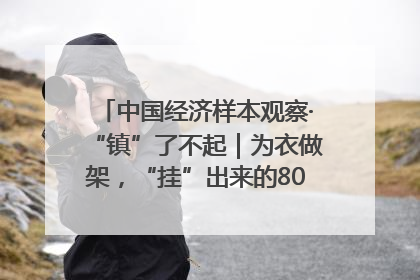 中国经济样本观察·“镇”了不起｜为衣做架，“挂”出来的80亿元“衣架产业”