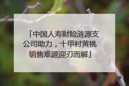 中国人寿财险涟源支公司助力，十甲村黄桃销售难题迎刃而解