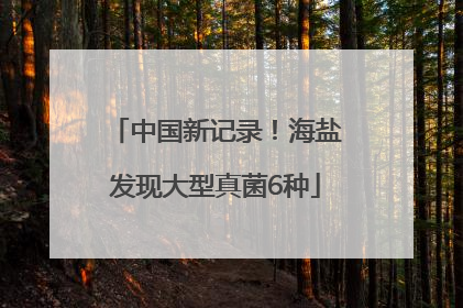 中国新记录！海盐发现大型真菌6种