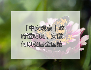 中安观察｜政府透明度，安徽何以稳居全国第一方阵？