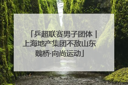 乒超联赛男子团体｜上海地产集团不敌山东魏桥·向尚运动