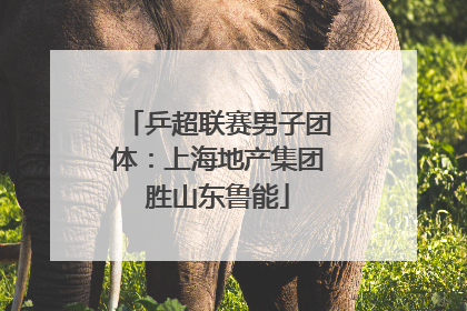 乒超联赛男子团体：上海地产集团胜山东鲁能