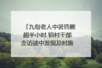 九旬老人中暑昏厥超半小时 镇村干部走访途中发现及时施救｜看见正能量