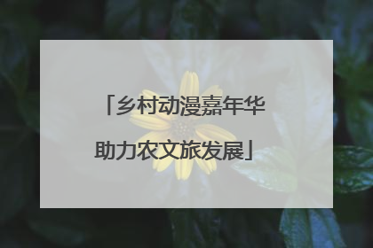 乡村动漫嘉年华助力农文旅发展