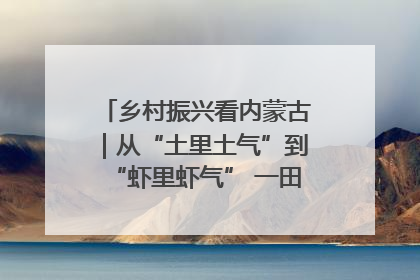 乡村振兴看内蒙古｜从“土里土气”到“虾里虾气” 一田双收模式火出圈