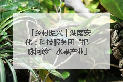 乡村振兴｜湖南安化：科技服务团“把脉问诊”水果产业