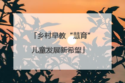 乡村早教“慧育”儿童发展新希望