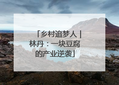 乡村追梦人｜林丹：一块豆腐的产业逆袭