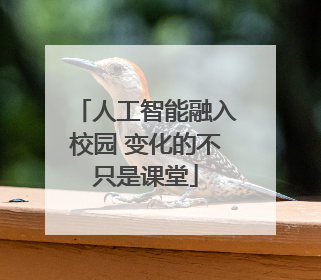 人工智能融入校园 变化的不只是课堂
