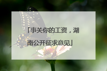 事关你的工资，湖南公开征求意见