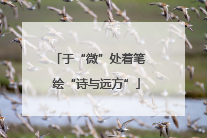 于“微”处着笔 绘“诗与远方”