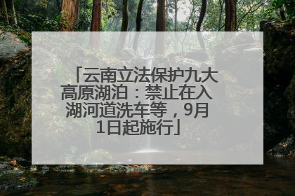 云南立法保护九大高原湖泊：禁止在入湖河道洗车等，9月1日起施行