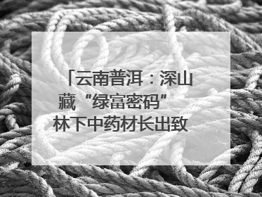 云南普洱：深山藏“绿富密码” 林下中药材长出致富新图景