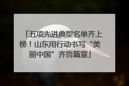 五项先进典型名单齐上榜！山东用行动书写“美丽中国”齐鲁篇章