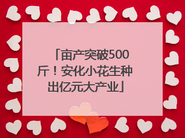 亩产突破500斤！安化小花生种出亿元大产业