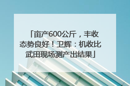 亩产600公斤，丰收态势良好！卫辉：机收比武田现场测产出结果
