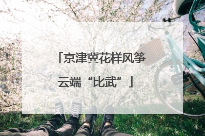 京津冀花样风筝云端“比武”