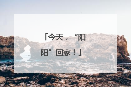 今天，“阳阳”回家！