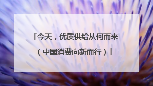 今天，优质供给从何而来（中国消费向新而行）