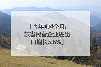 今年前4个月广东省民营企业进出口增长5.6%