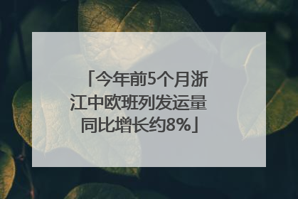 今年前5个月浙江中欧班列发运量同比增长约8%