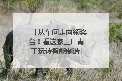 从车间走向领奖台！看这家工厂青工玩转智能制造