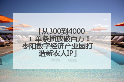 从300到4000+ 单条播放破百万！枣阳数字经济产业园打造新农人IP
