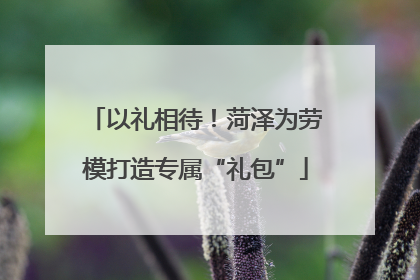 以礼相待！菏泽为劳模打造专属“礼包”