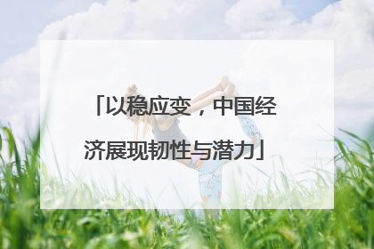 以稳应变，中国经济展现韧性与潜力