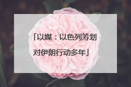 以媒：以色列筹划对伊朗行动多年