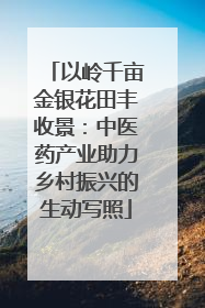 以岭千亩金银花田丰收景：中医药产业助力乡村振兴的生动写照