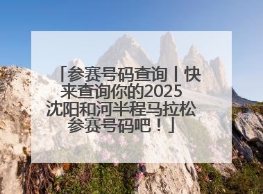 参赛号码查询丨快来查询你的2025沈阳和河半程马拉松参赛号码吧！