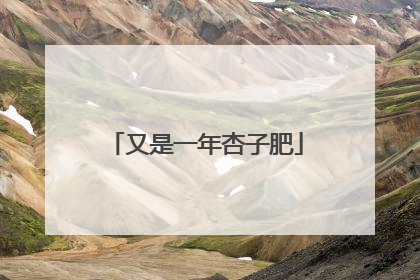 又是一年杏子肥