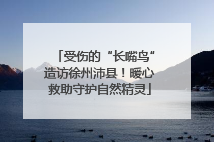 受伤的“长嘴鸟”造访徐州沛县！暖心救助守护自然精灵